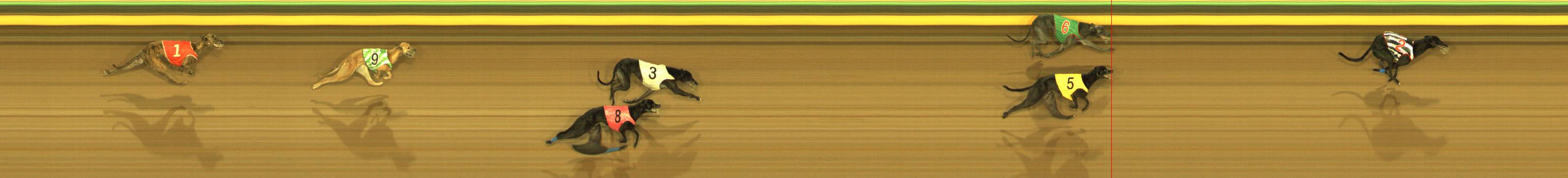 Race result finish photo